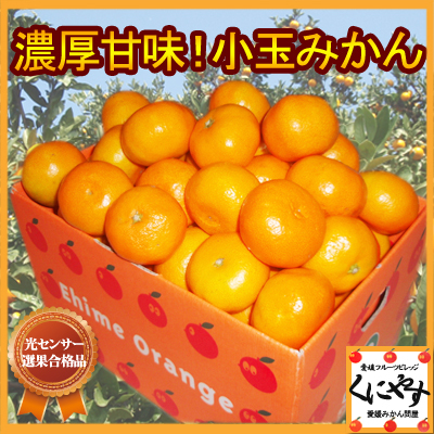 訳ありみかん 愛媛西宇和産小玉みかんを激安価格で購入するには 訳ありみかんを激安価格で購入出来る通販はココだ